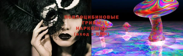 индика Рославль