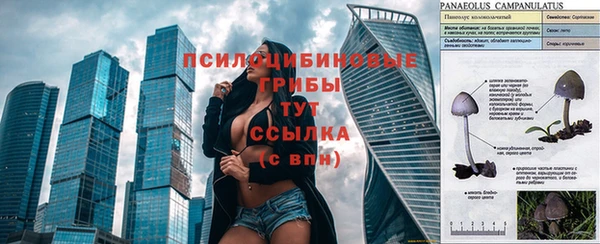 не бодяженный Надым
