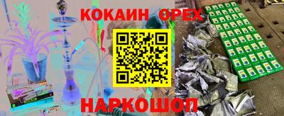 гашик Будённовск