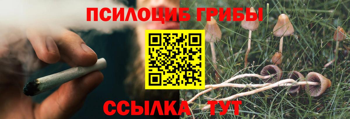 Галлюциногенные грибы Psilocybe  Вход с VPN  Искитим  Галлюциногенные грибы MAGIC MUSHROOMS 