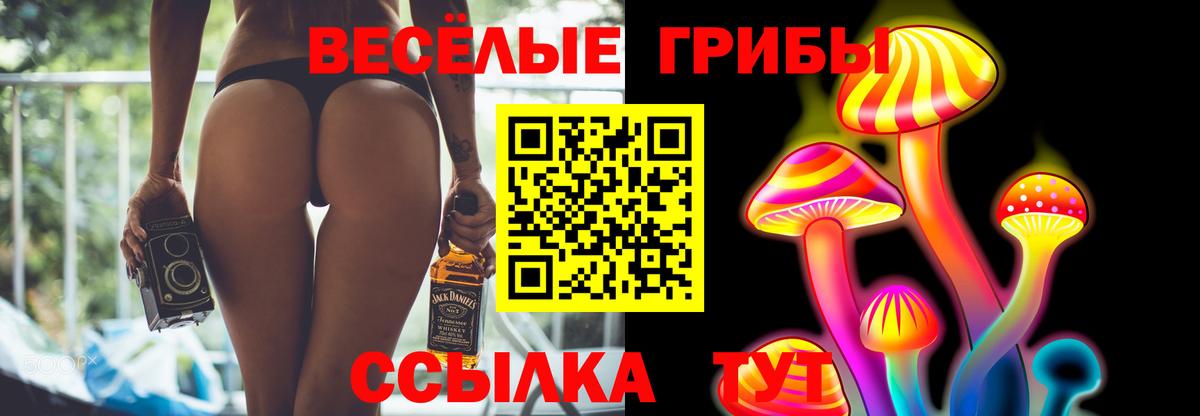 Псилоцибиновые грибы Psilocybine cubensis Искитим